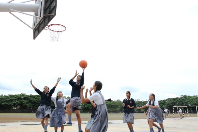  Basketball